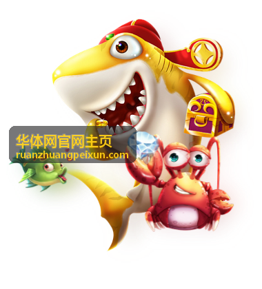 华体网官网主页培训课程战术分析讲师